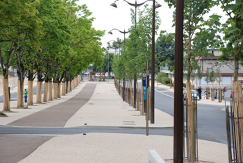 Arbres rue Gustave Eiffel