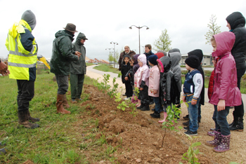 Plantations enfants