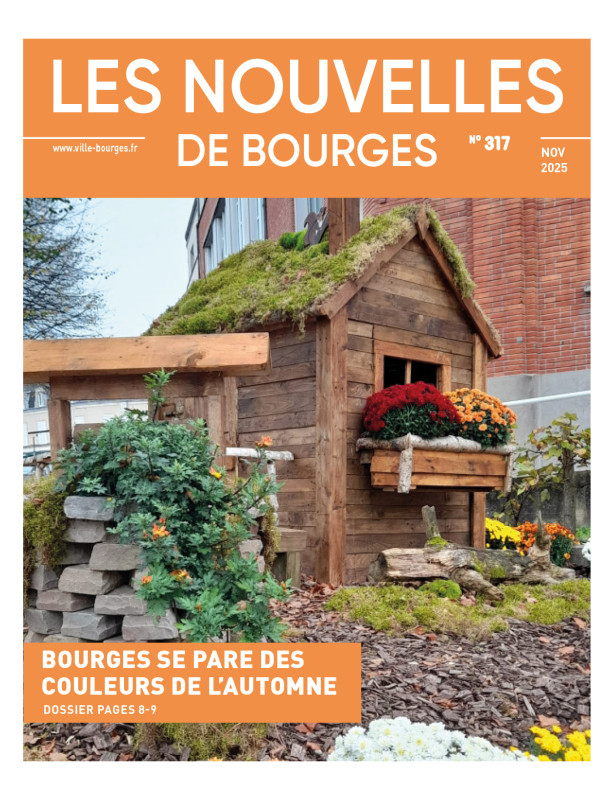 N� 317 novembre 2025